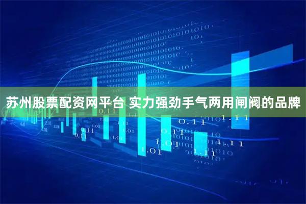 苏州股票配资网平台 实力强劲手气两用闸阀的品牌