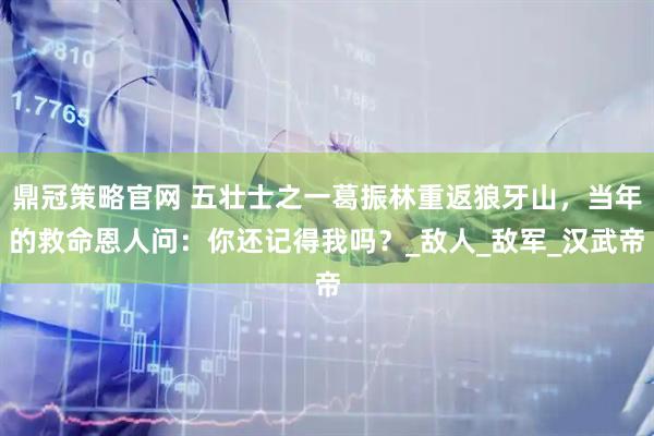 鼎冠策略官网 五壮士之一葛振林重返狼牙山，当年的救命恩人问：你还记得我吗？_敌人_敌军_汉武帝
