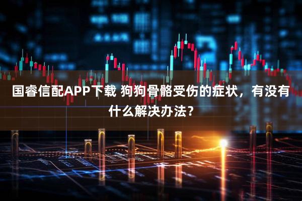 国睿信配APP下载 狗狗骨骼受伤的症状，有没有什么解决办法？